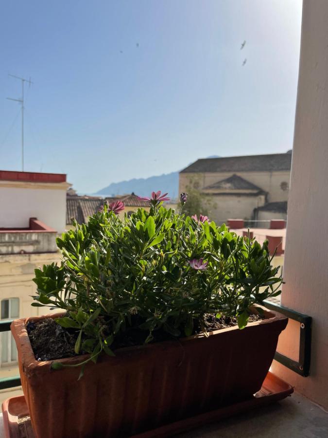 A Casa Di Stella Leilighet Salerno Eksteriør bilde